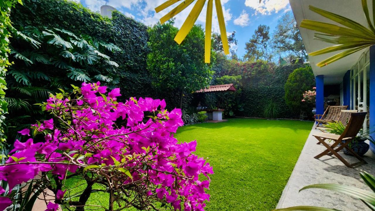 Casa Tamayo Città del Messico Esterno foto